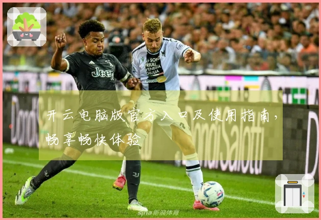 开云电脑版官方入口及使用指南，畅享畅快体验